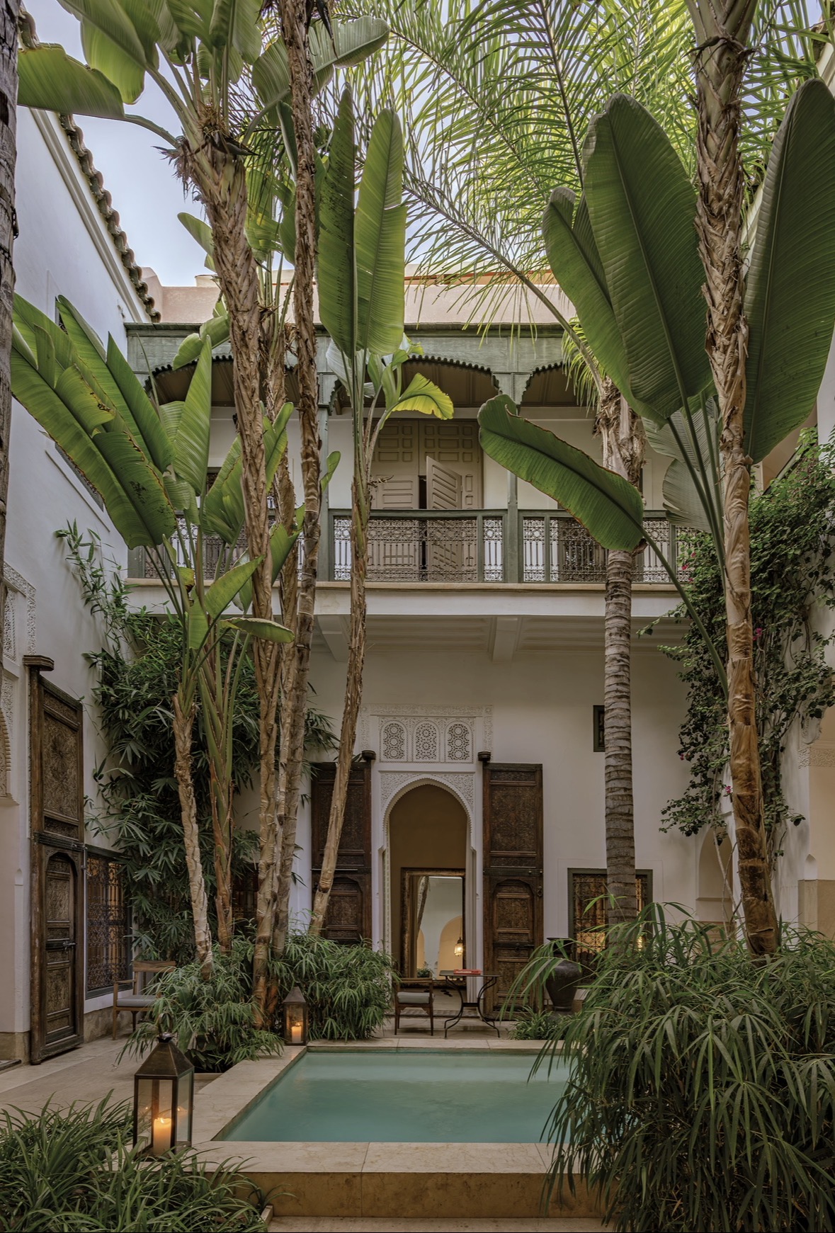 The courtyard palms